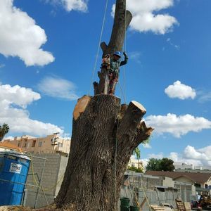 Meet your Posher, Martin